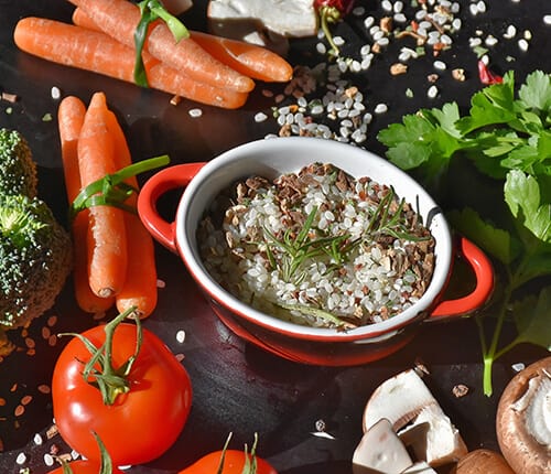 LE TERRIBILI VERITÀ SULLA PALEO DIETA